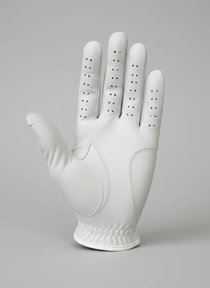 SHADES OF BROWN GOLF GLOVE